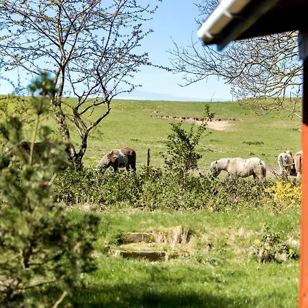 2 Bedroom Pet Friendly In Holiday home *